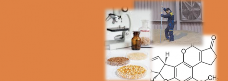WEBINAR: Reg. UE 2023/2782 e 2023/2783: Nuovi campionamenti e requisiti analitici per micotossine e tossine vegetali